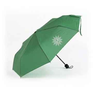 Taschenschirm "Rain" grün