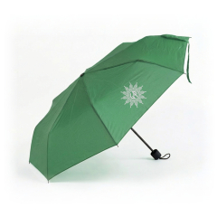 Taschenschirm "Rain" gr&uuml;n